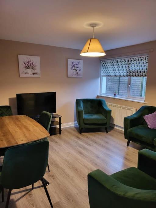 Small Town House, Barrow Lane, Bagenalstown, Carlow Exteriör bild