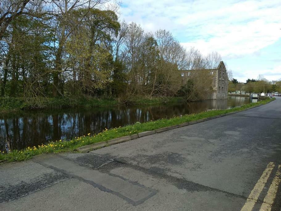 Small Town House, Barrow Lane, Bagenalstown, Carlow Exteriör bild